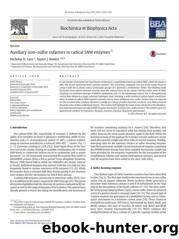 Auxiliary ironâsulfur cofactors in radical SAM enzymes by Nicholas D. Lanz & Squire J. Booker