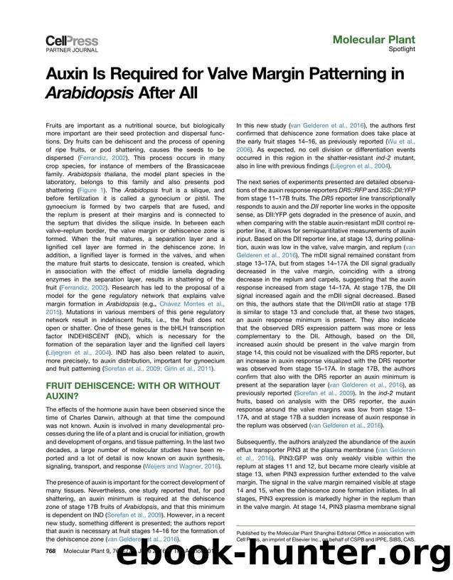 Auxin Is Required for Valve Margin Patterning in Arabidopsis After All by Stefan de Folter