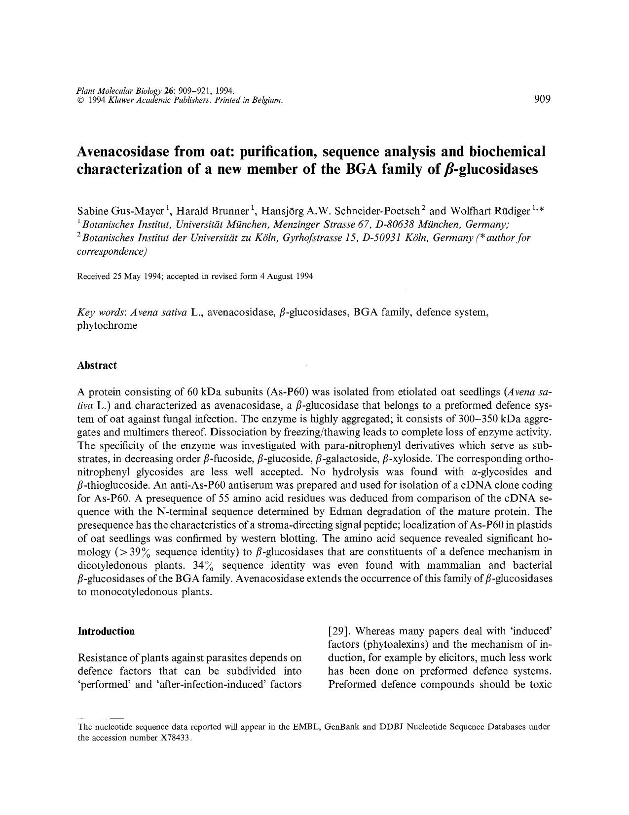 Avenacosidase from oat: purification, sequence analysis and biochemical characterization of a new member of the BGA family of β-glucosidases by Unknown