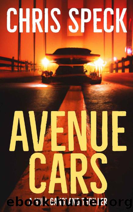 Avenue Cars: A Hull gangland thriller by Chris Speck