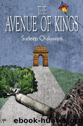 Avenue of Kings by Sudeep Chakravarti