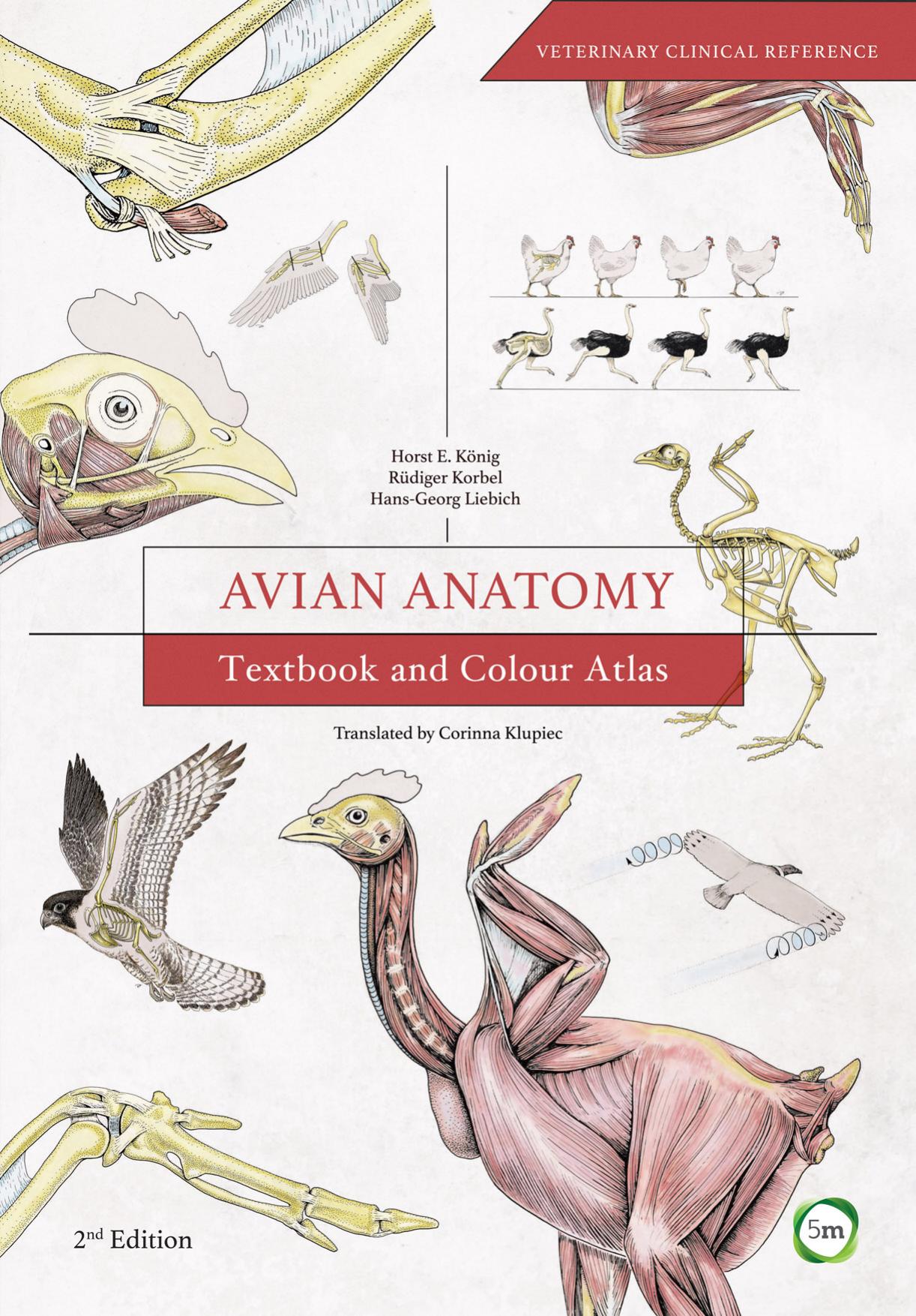 Avian Anatomy: Textbook and Colour Atlas, Second Edition by Unknow