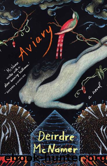 Aviary by Deirdre McNamer