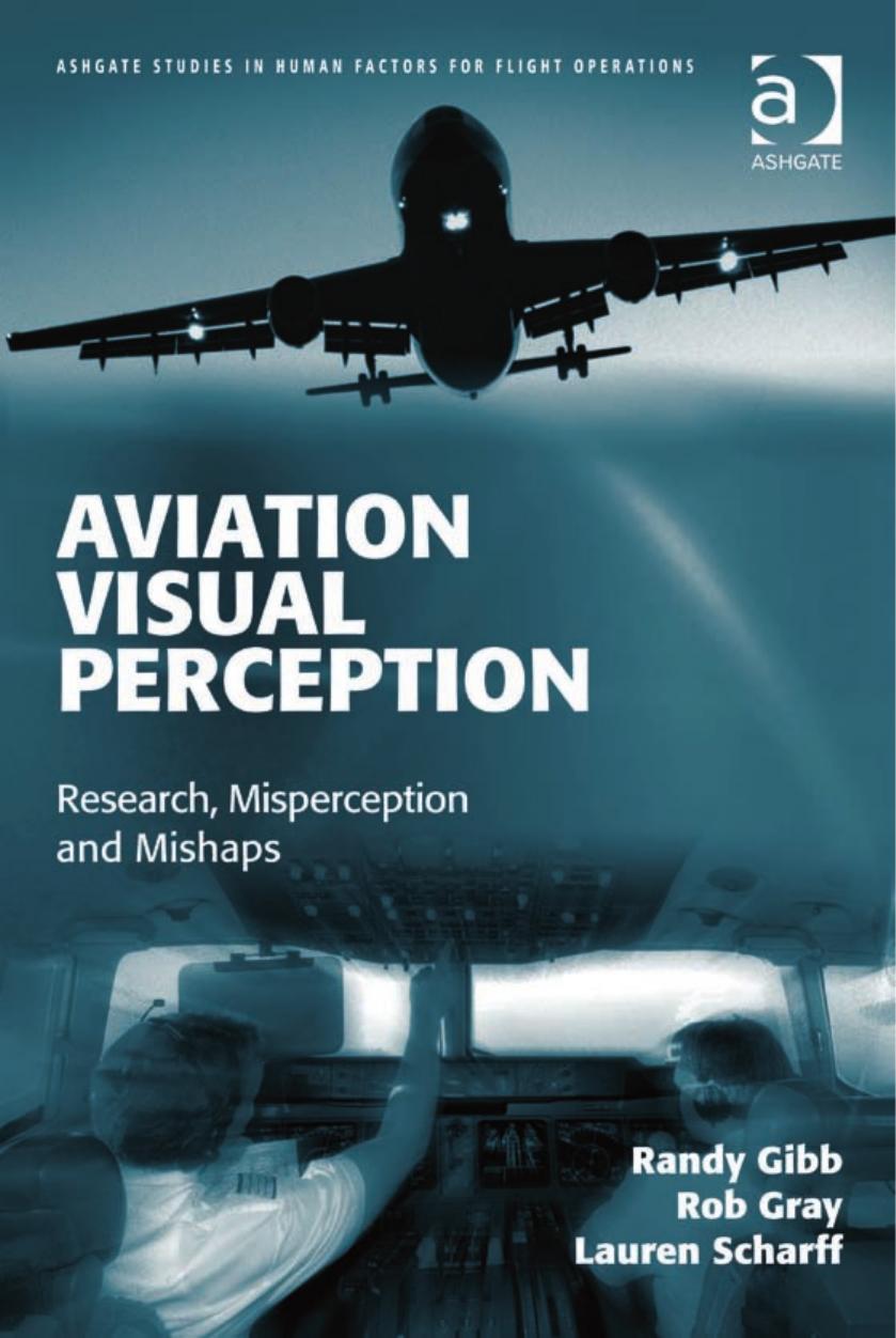 Aviation Visual Perception (Ashgate Studies in Human Factors for Flight Operations) by Randy Gibb Rob Gray Lauren Scharff