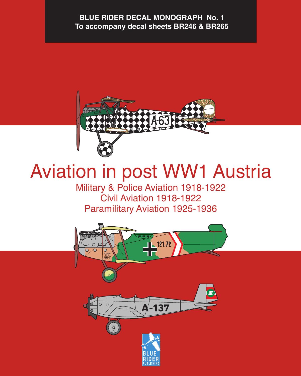 Aviation in post WW1 Austria by Unknown
