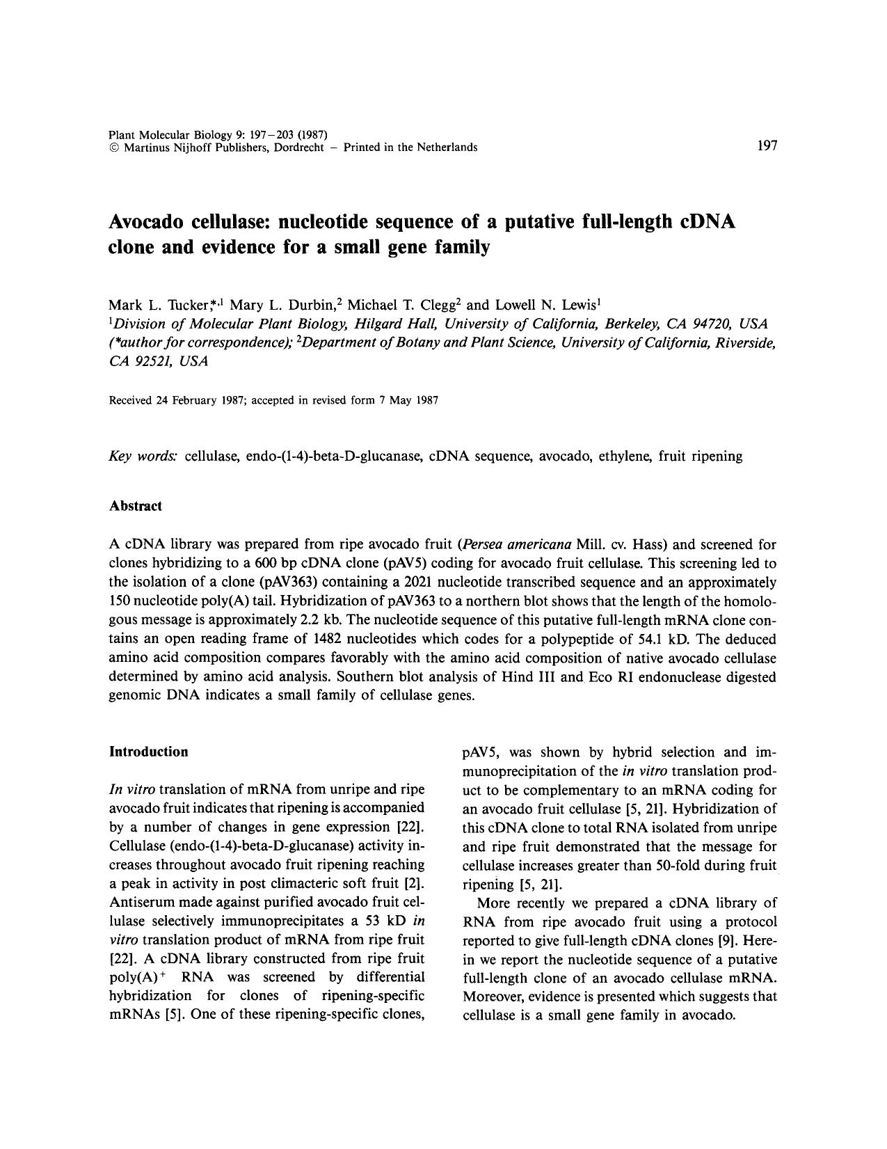 Avocado cellulase: nucleotide sequence of a putative full-length cDNA clone and evidence for a small gene family by Unknown