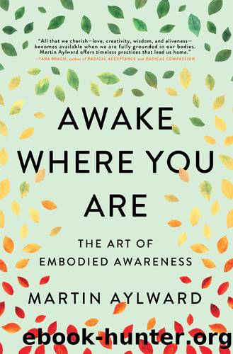 Awake Where You Are by Martin Aylward