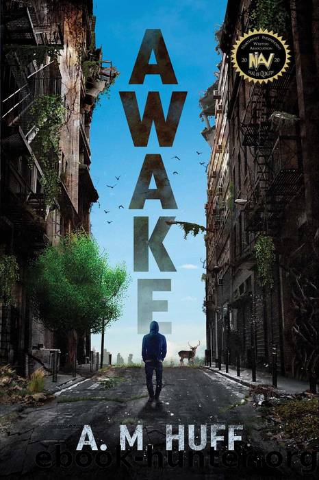Awake by A. M. Huff