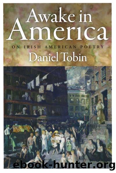 Awake in America : On Irish American Poetry by Daniel Tobin