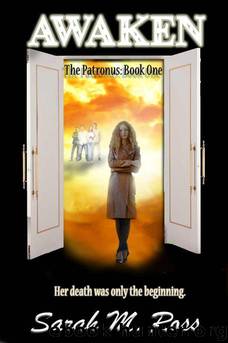 Awaken by Ross Sarah M