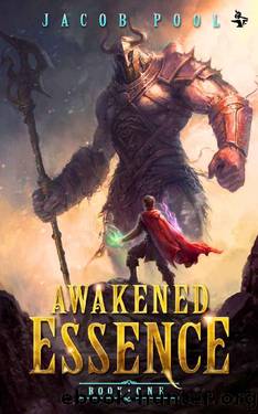 Awakened Essence 1: A LitRPG Adventure by Jacob Pool