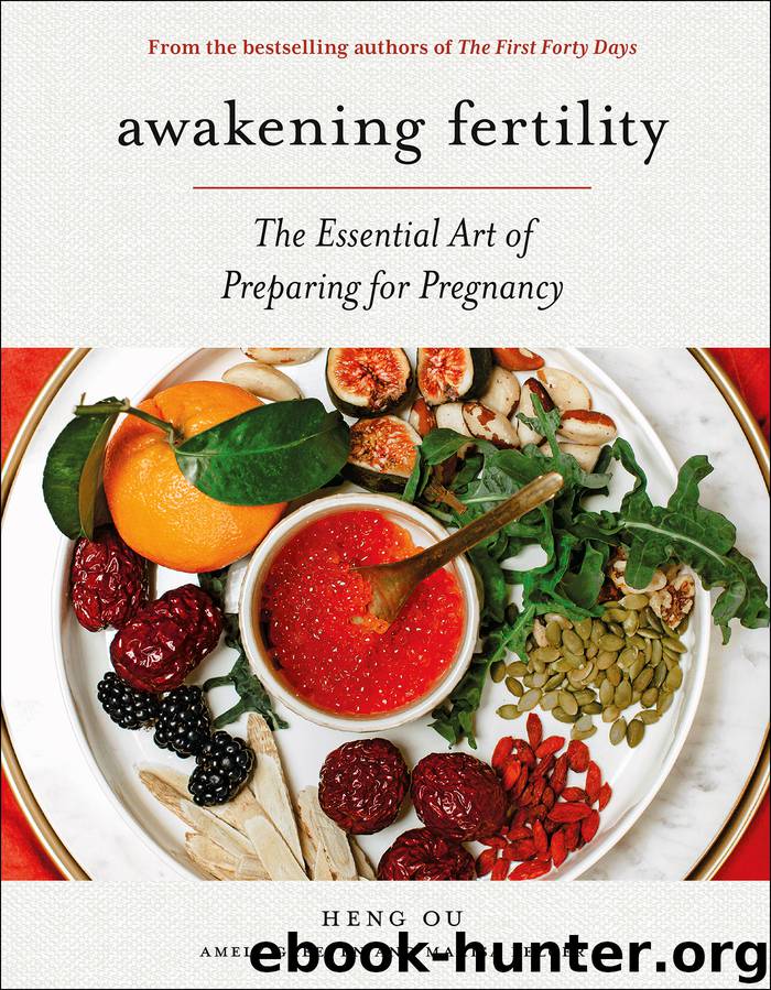 Awakening Fertility by Heng Ou & Amely Greeven & Marisa Belger