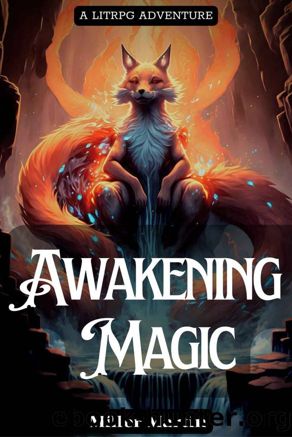 Awakening Magic: A LitRPG Adventure by Miller Martin