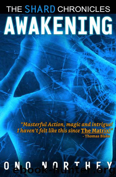 Awakening by Ono Northey