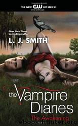 Awakening by Smith L J