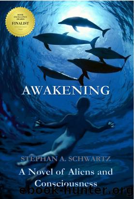 Awakening by Stephan A. Schwartz