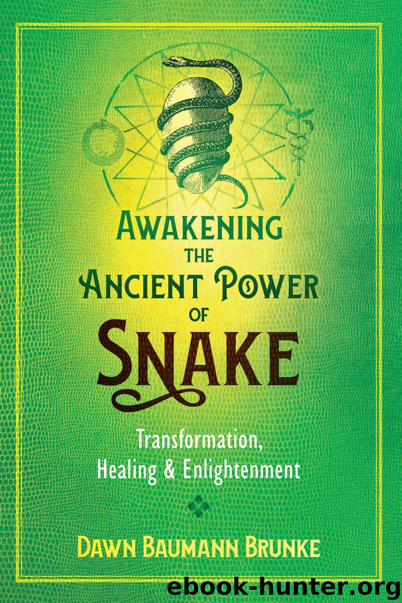 Awakening the Ancient Power of Snake by Dawn Baumann Brunke