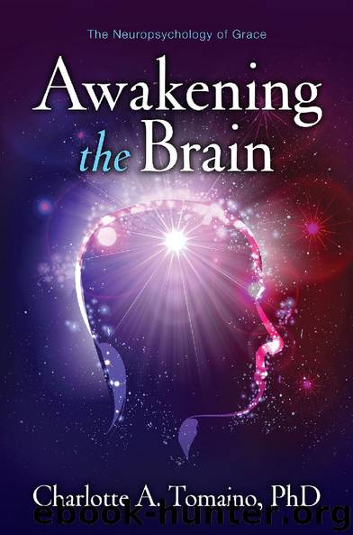 Awakening the Brain by Charlotte A.Tomaino PhD