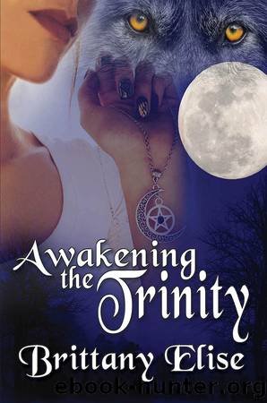 Awakening the Trinity by Brittany Elise