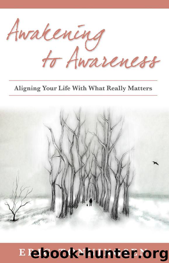 Awakening to Awareness by eric tonningsen