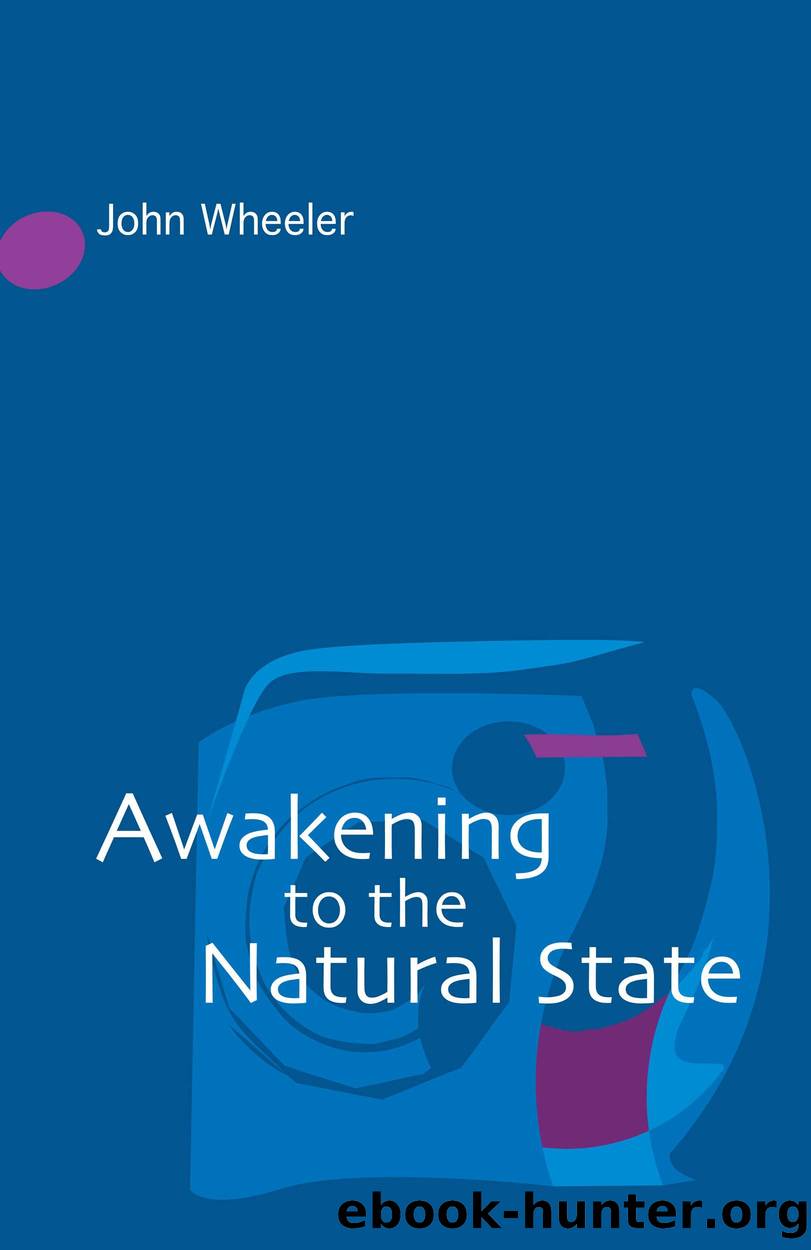 Awakening to the Natural State by Wheeler John