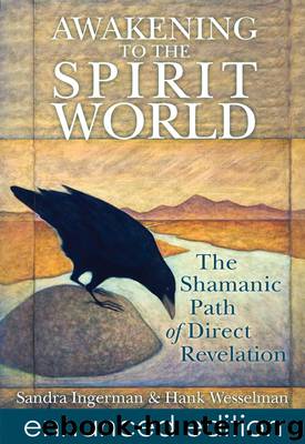 Awakening to the Spirit World by Sandra Ingerman