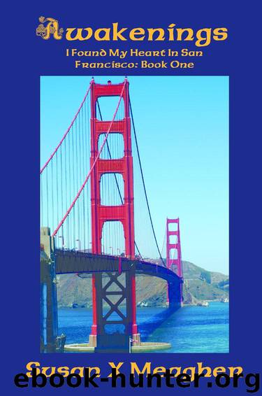Awakenings (I Found My Heart in San Francisco #1) by Susan X. Meagher