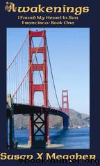 Awakenings by Susan X Meagher