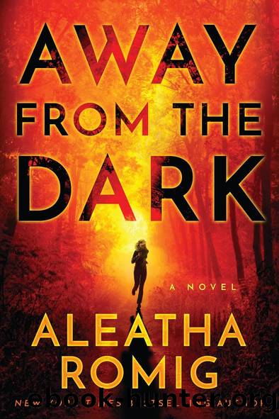 Away From the Dark by Romig Aleatha