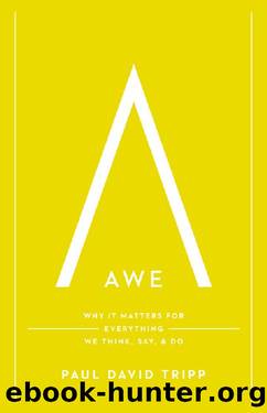 Awe by Paul David Tripp