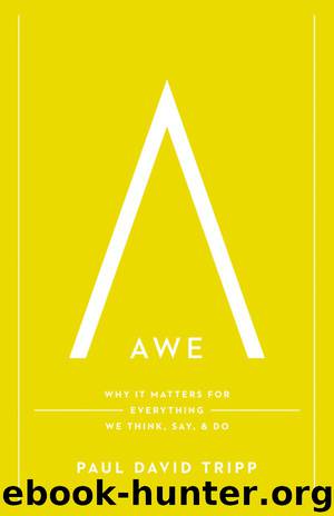 Awe: Why It Matters for Everything We Think, Say, and Do by Paul David Tripp