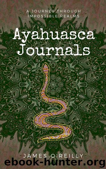 Ayahuasca Journals: A Journey Through Impossible Realms by O'Reilly James