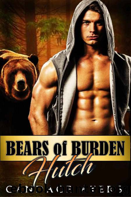 Ayers, Candace - [Bears of Burden 3] - Hutch by Candace Ayers