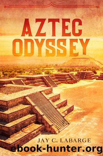 Aztec Odyssey by Jay C. LaBarge
