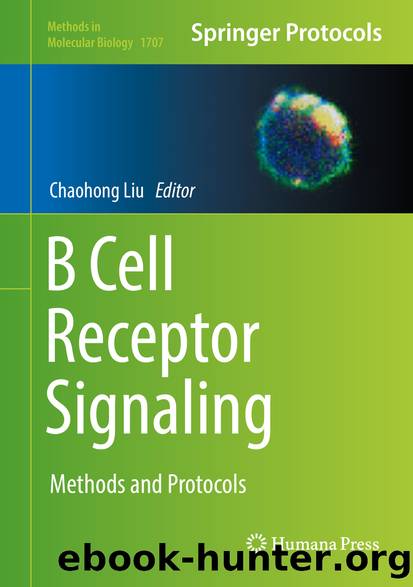 B Cell Receptor Signaling by Chaohong Liu