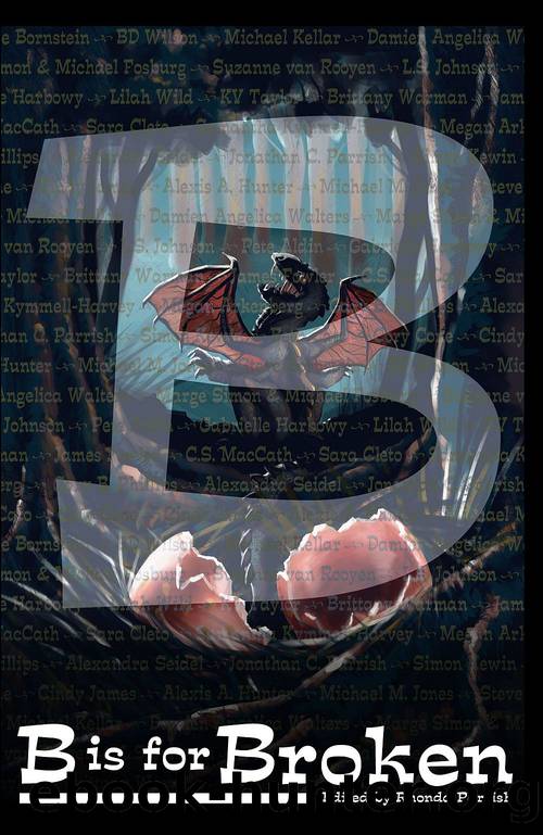 B is for Broken by Brittany Warman