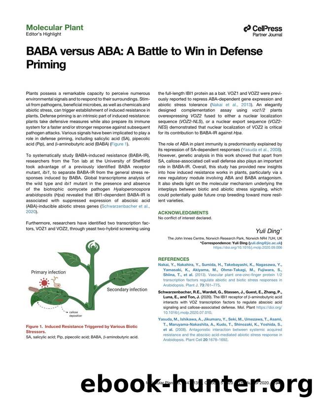 BABA versus ABA: A Battle to Win in Defense Priming by Yuli Ding