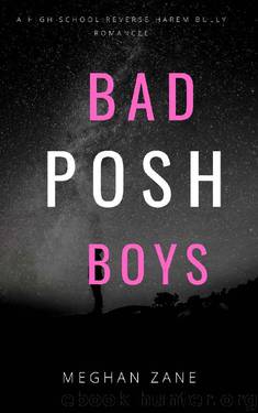 BAD POSH BOYS: A HIGH SCHOOL BULLY ROMANCE (Billionaires Prep Academy Book 1) by Meghan Zane