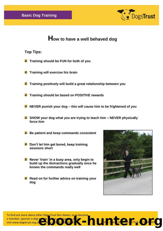 BASIC DOG TRAINING by Konabear