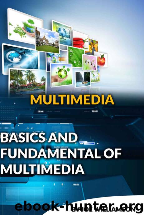 BASICS AND FUNDAMENTAL OF MULTIMEDIA by JOE WILLIAMSON