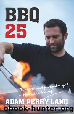 BBQ 25 by Adam Perry Lang