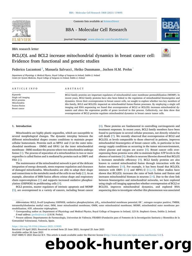 BCL( X )L and BCL2 increase mitochondrial dynamics in breast cancer cell: Evidence from functional and genetic studies by Federico Lucantoni & Manuela Salvucci & Heiko Dussmann & Jochen H.M. Prehn