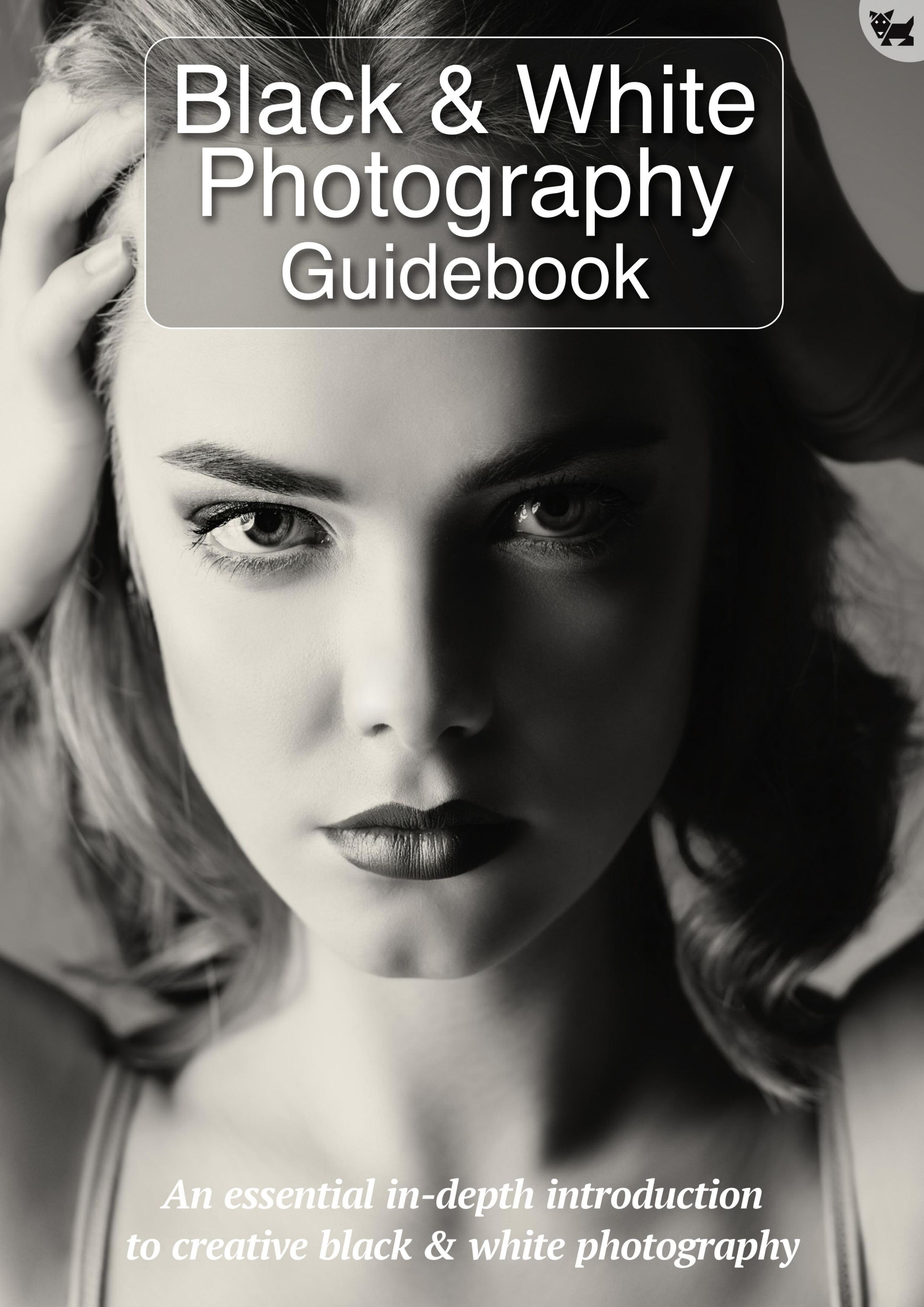 BDM's Independent Manual Series: Black & White Photography Guidebook 2019 by Unknow