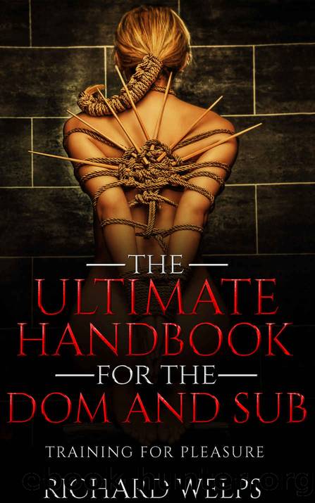 BDSM: The Ultimate Handbook for the Dom and Sub: Training for Pleasure (Pain and Pleasure 1) by Richard Welps
