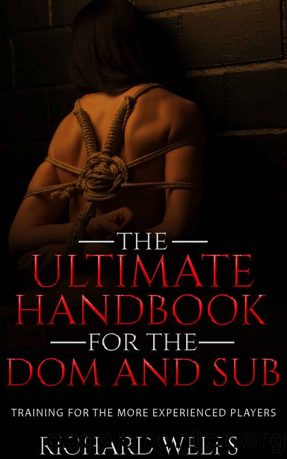 BDSM: The Ultimate Handbook for the Dom and Sub: Training for the More Experienced Players (Pain and Pleasure 2) by Richard Welps
