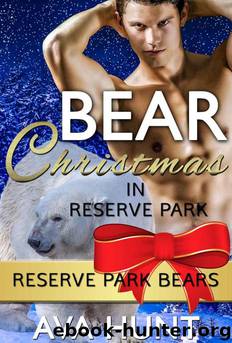 BEAR CHRISTMAS IN RESERVE PARK by HUNT AVA