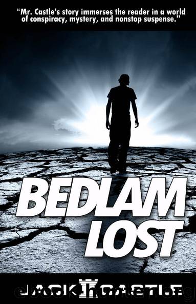 BEDLAM LOST by Chris Tortora