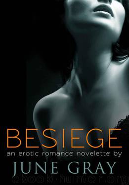 BESIEGE (An Erotic Romance Novelette) by June Gray