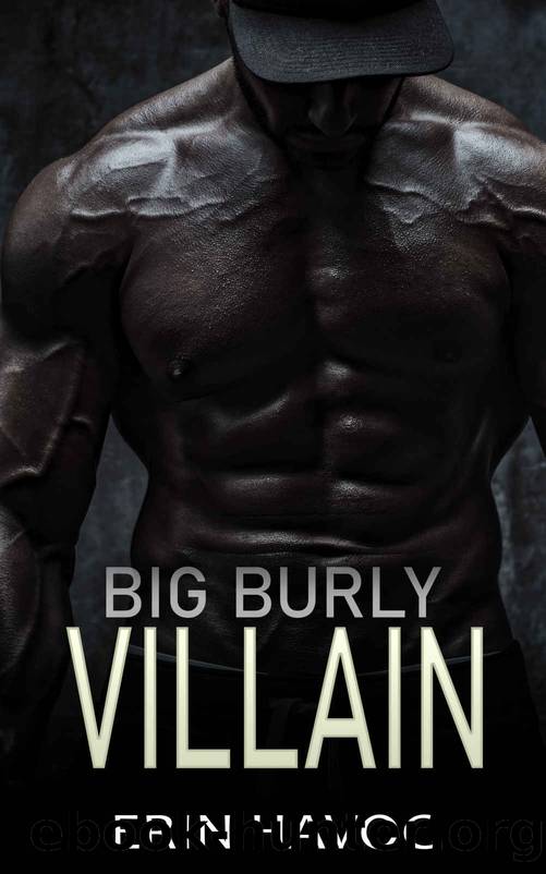 BIG BURLY VILLAIN: An Age Gap Romance (Forbidden Curves Book 22) by Erin Havoc