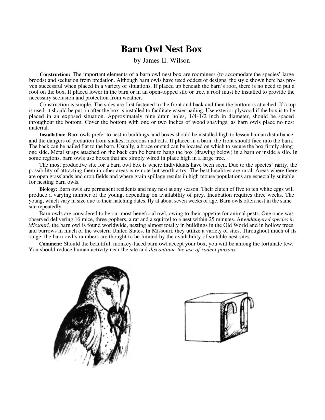 BIRD House by barn owl